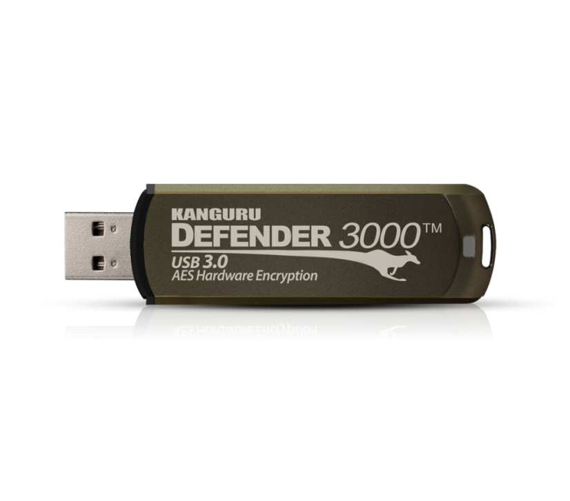 Defender 3000 - Kapacita: 256 GB