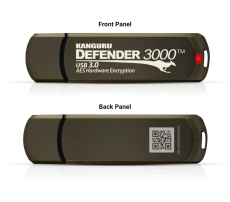 Defender 3000