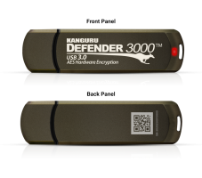 Defender 3000