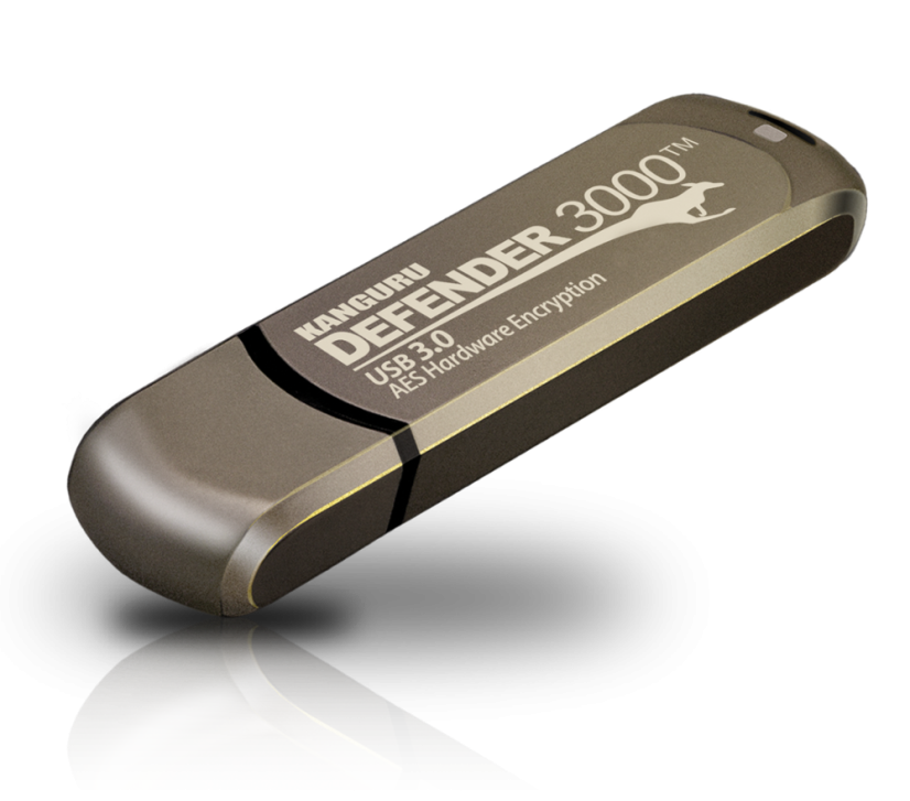 Defender 3000 - Kapacita: 256 GB