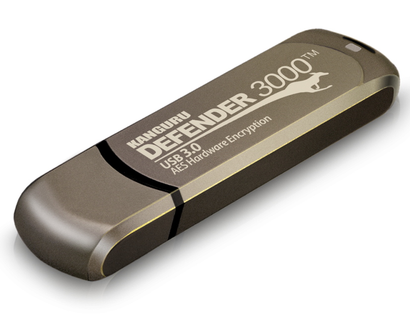 Defender 3000 - Kapacita: 256 GB